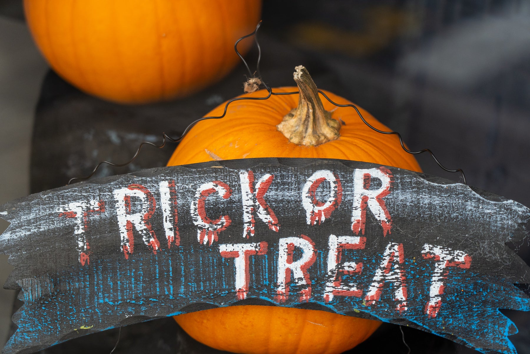 Tricks or Treats! Pet Halloween Costume Ideas 2022