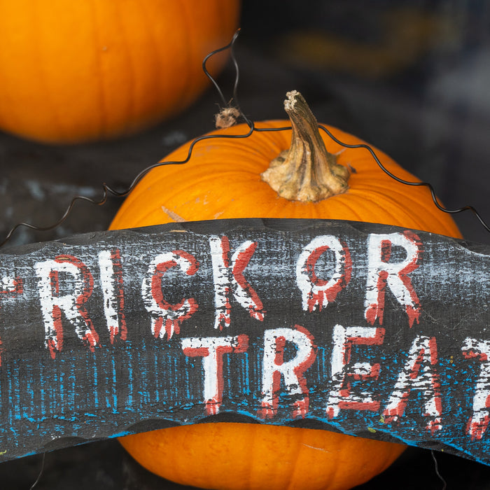 Tricks or Treats! Pet Halloween Costume Ideas 2022