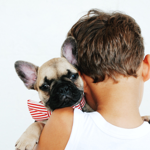 【Steps before pet adoption – pet foster】
