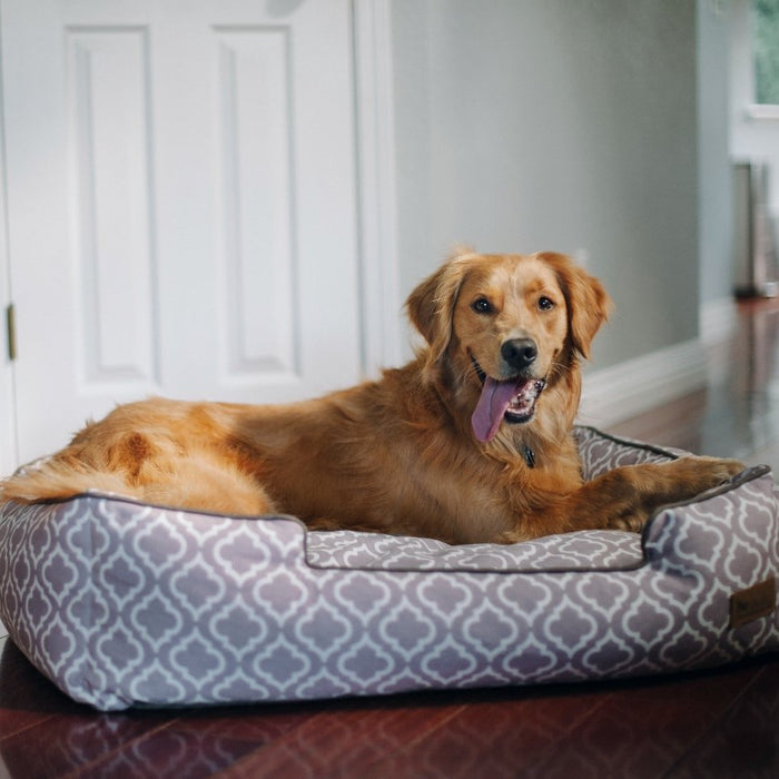 Top-rated Pet Products to Upgrade your Home for Pets