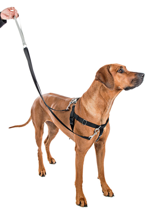 2 Hounds Design Freedom No Pull Dog Harness and Dog Leash - Red