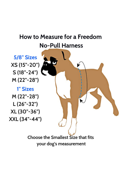 2 Hounds Design Freedom No Pull Dog Harness and Dog Leash - Jellybean Spice