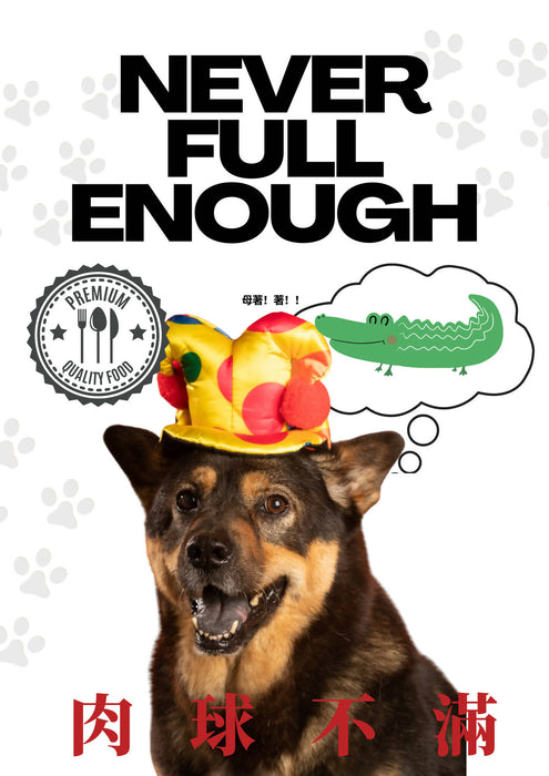 Never Full Enough - Dog Fresh Food Pack - Crocodile (Crocodile Flavor) x6 packs