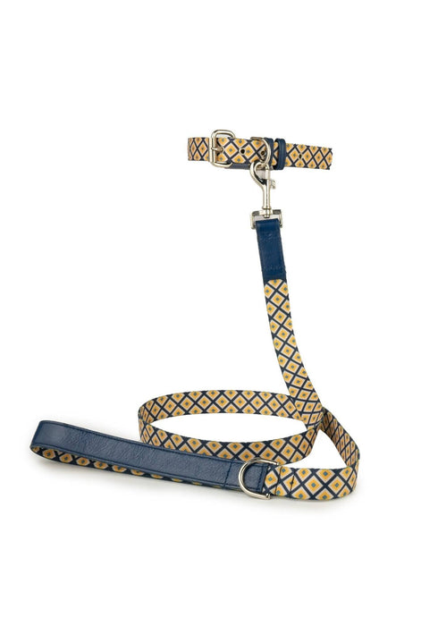 Ware of the Dog Square Webbing Dog Collar - Gold & Blue