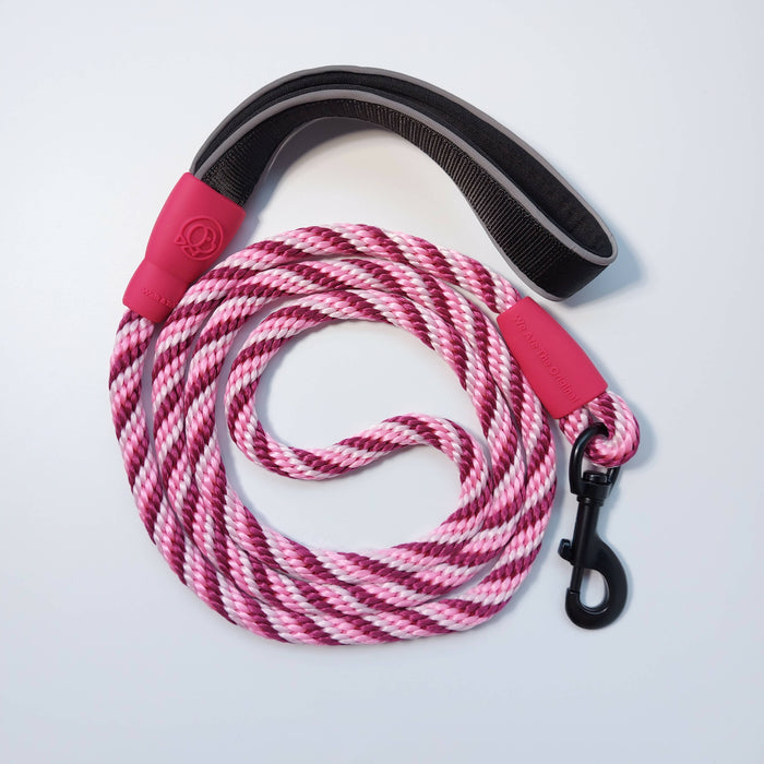 Walk & Talk® - 10mm Dog Leash - Pink@Lollipop Series
