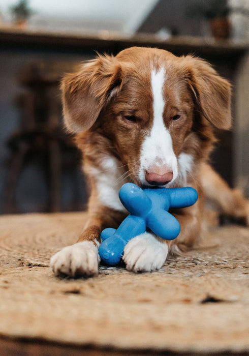 Charming Pet Ballon Dog Natural Latex Dog Chew Fetch Toy