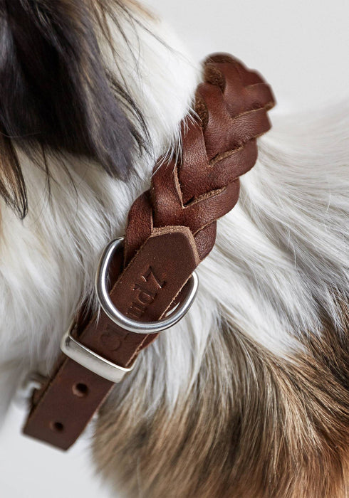 Cloud7 Central Park Leather Dog Collar