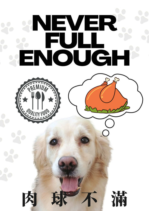 Never Full Enough - Dog Fresh Food Variety Pack (5 Flavours)
