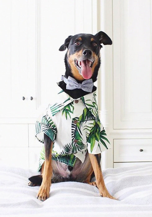 Dog Threads Havana Palms Print Dog Shirt