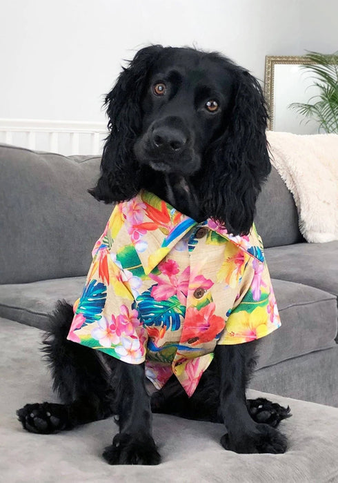 Dog Threads Tropical BBQ Dog Shirt