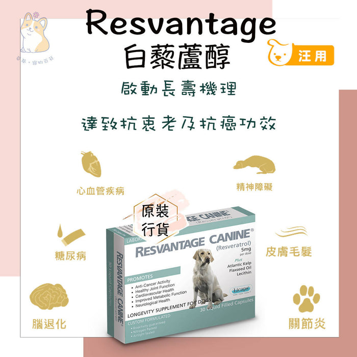 RESVANTAGE - Canine Longevity Supplement for Dog 30 Capsules
