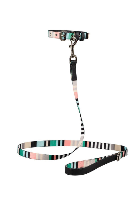 Ware of the Dog Striped Webbing Dog Leash With Leather Trim - Green & Charcoal