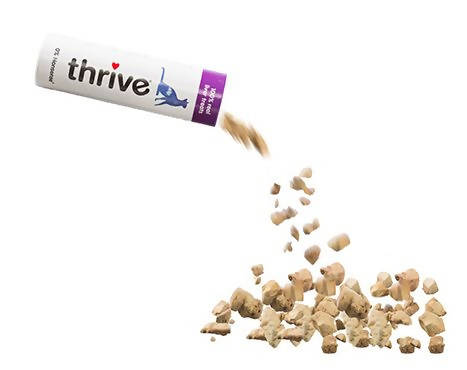 Thrive Freeze Dry Chicken Liver Cat Treats in Tube 25G