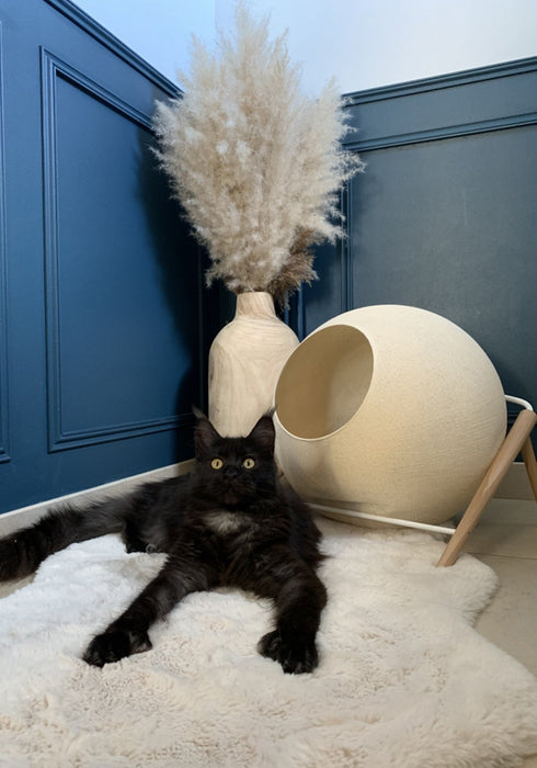 Meyou Paris The Ball Cat Bed Champagne