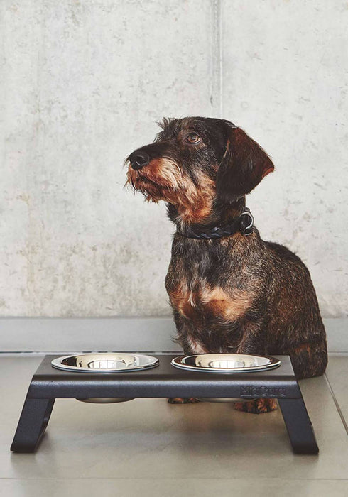 MiaCara Desco Dog Feeder with Bowl Set
