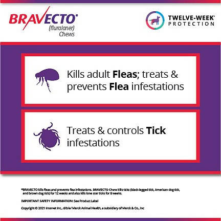 Bravecto For Fleas And Ticks For Dog 40-56kg