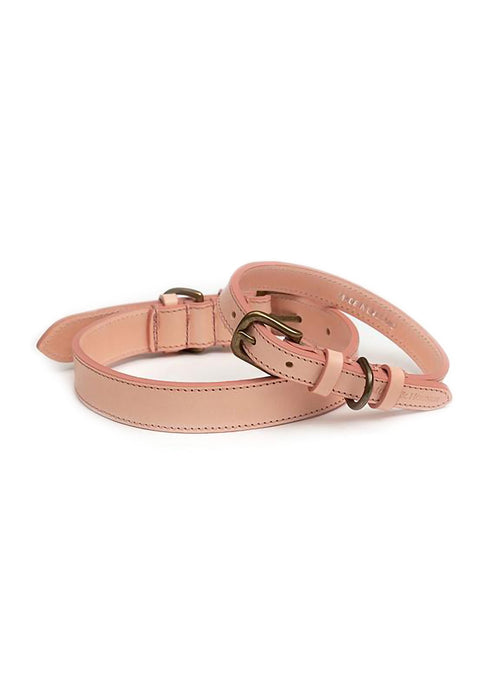 Fetch & Follow Leather Dog Collar - Pink
