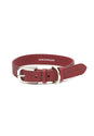 

Fetch & Follow Leather Dog Collar - Grape