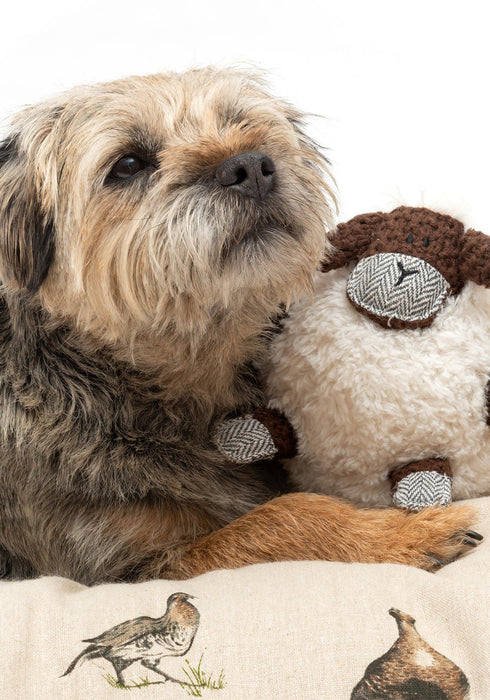 Mutts and Hounds Shelby Sheep Plush Dog Toy