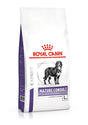 

Royal Canin 法國皇家 -【預購】大型老犬處方 - 14公斤 x 2