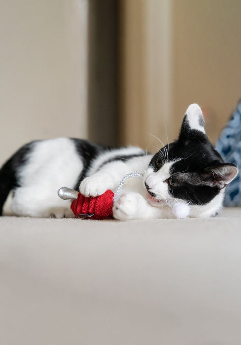 P.L.A.Y. Feline Frenzy Cat Plush Toy - Twice As Mice