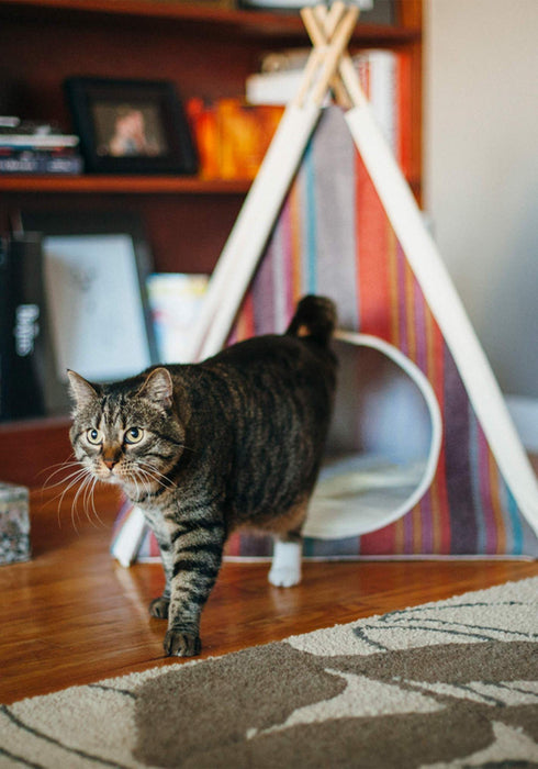 P.L.A.Y. Horizon Pet Teepee Cat & Dog Tent Bed