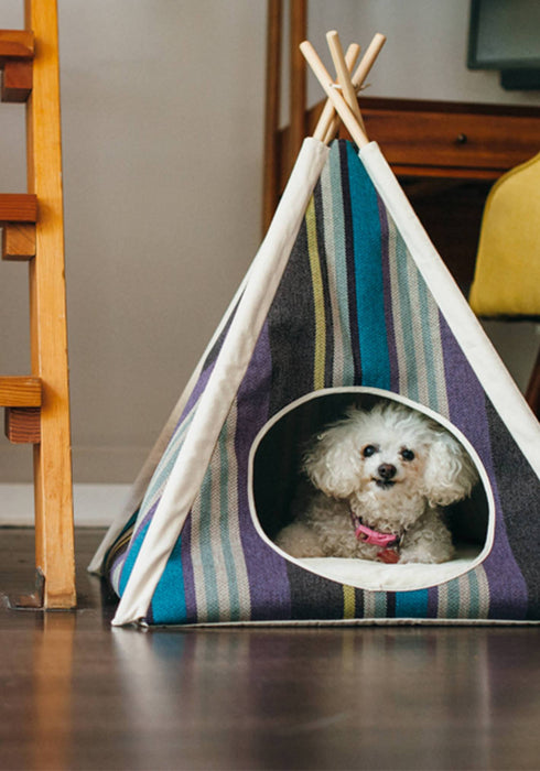P.L.A.Y. Horizon Pet Teepee Cat & Dog Tent Bed - Lake