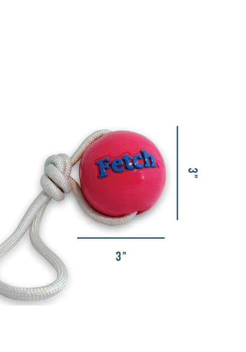 Planet Dog Orbee-Tuff Fetch Ball With Rope Dog Toy