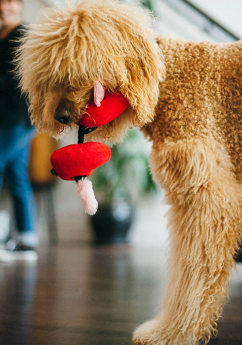 P.L.A.Y. Puppy Love Plush Toy - Fur-Ever Hearts