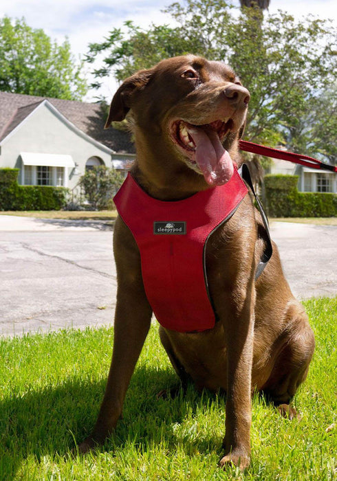Sleepypod® Clickit Sport Dog Harness - Red