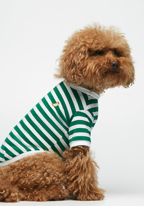 The Painters Wife David Striped Dog Tee Shirt - Green