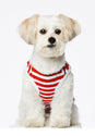 

The Painter's Wife Daniel Striped Dog Tank Top - Red