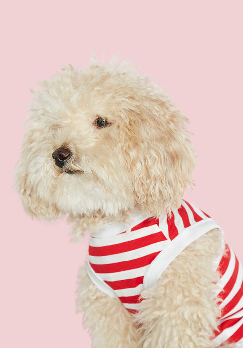 The Painter's Wife Daniel Striped Dog Tank Top - Red