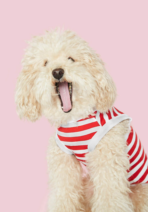 The Painter's Wife Daniel Striped Dog Tank Top - Red
