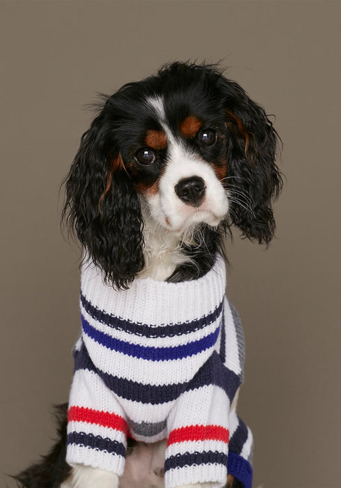 The Painters Wife Rosemary Merino Cashmere Wool Dog Sweater