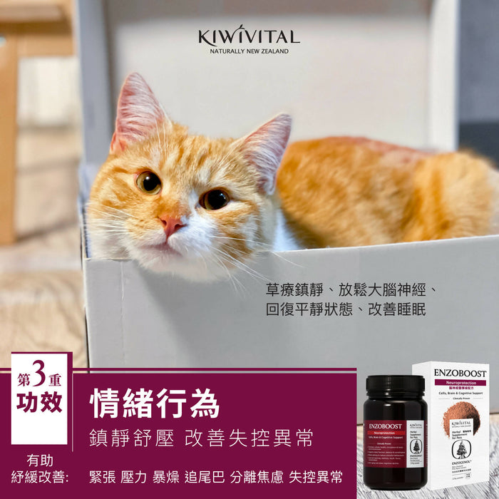Kiwivital - EnzoBoost Neuroprotection Herbal Supplement For Pets 120g