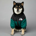 

The Dog Fans Rain Repellent Wind Breaker Jacket Green