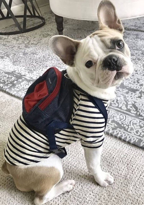 wagwear Canvas Mini Dog Backpack - Red
