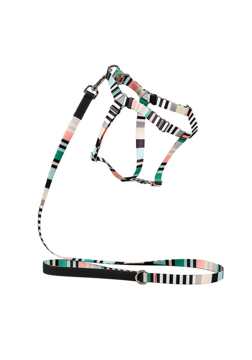 Ware of the Dog Striped Webbing Dog Harness With Leather Trim - Green & Charcoal