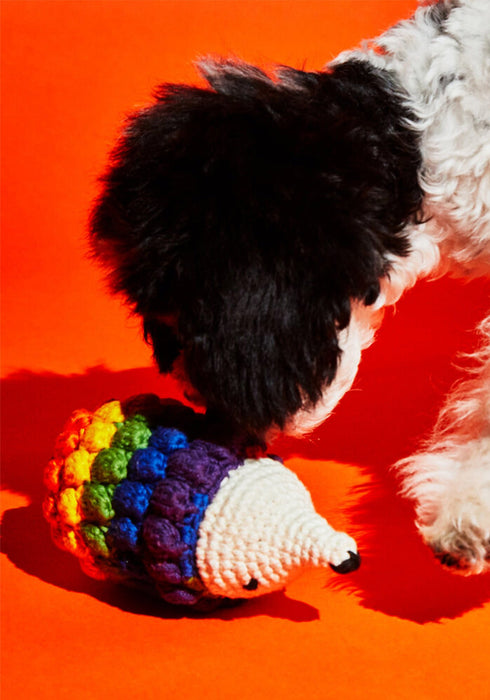 Ware of the Dog Hand Crochet Hedgehog Dog Toy