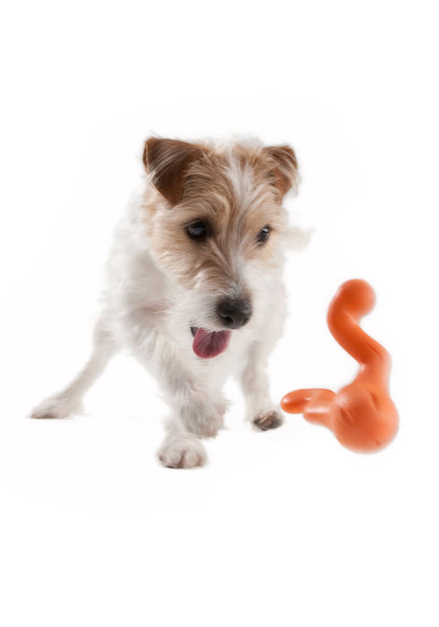 West Paw Tizzi Dog Fetch Toy 7"