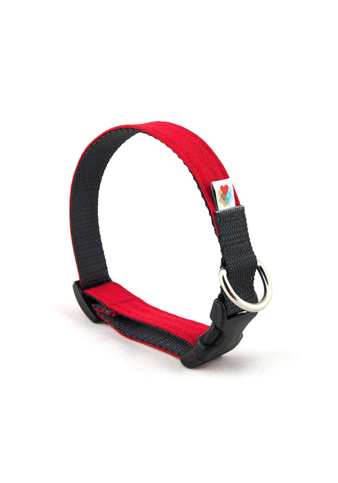 Wildebeest Funston Dog Collar - Red