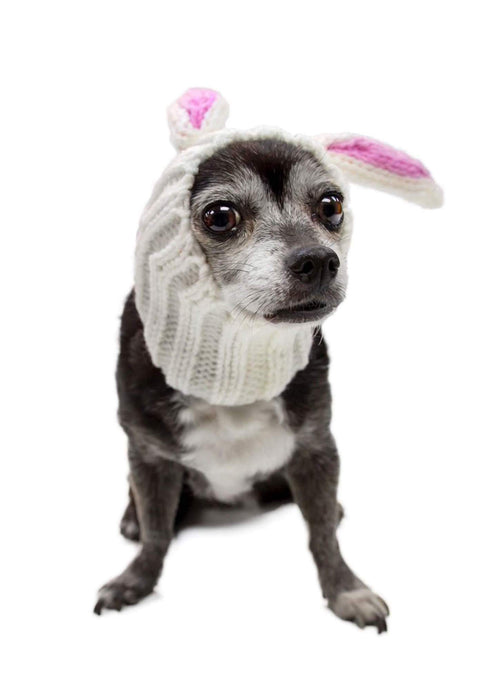 Zoo Snoods Rabbit Knitted Dog Hat