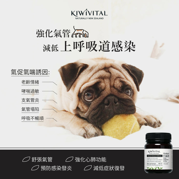 Kiwivital - IDP Olive Leaf Extract Powder for Pets 150g
