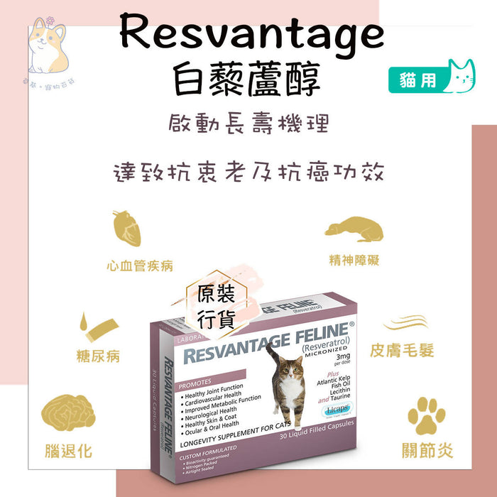 RESVANTAGE - Feline Longevity Supplement for Cat 30 Capsules
