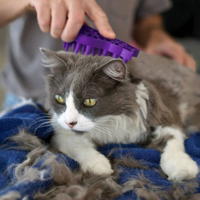 Kong Zoomgroom for Cats ( Purple )