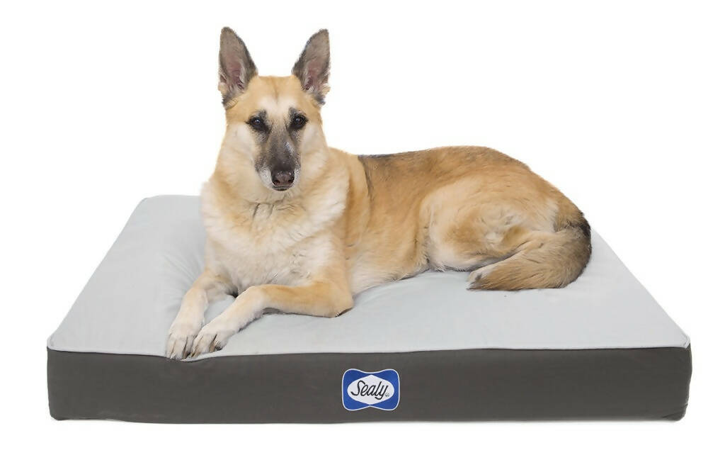 Sealy Defender Series Premium Memory Foam Dog Bed Modern Grey