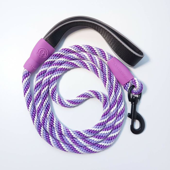 Walk & Talk® - 10mm Dog Leash - Purple@Lollipop Series