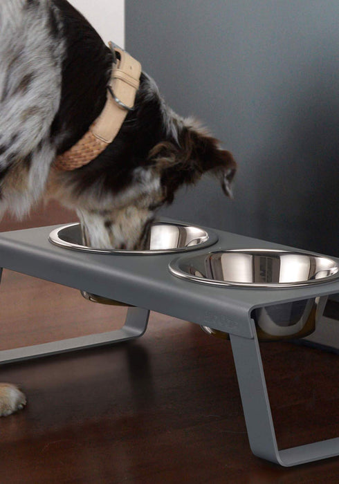 MiaCara Desco Dog Feeder with Bowl Set