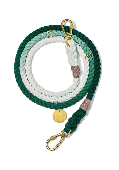 Found My Animal Teal Adjustable Ombre Cotton Rope Dog Leash